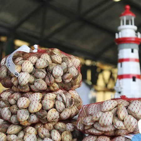 Serene View - By Sch アパート *