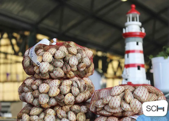 Serene View - By Sch Apartament *